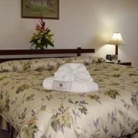 Imagen general del Hotel Wyndham Kingston Jamaica. Foto 3