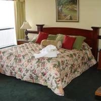 Imagen general del Hotel Wyndham Kingston Jamaica. Foto 4