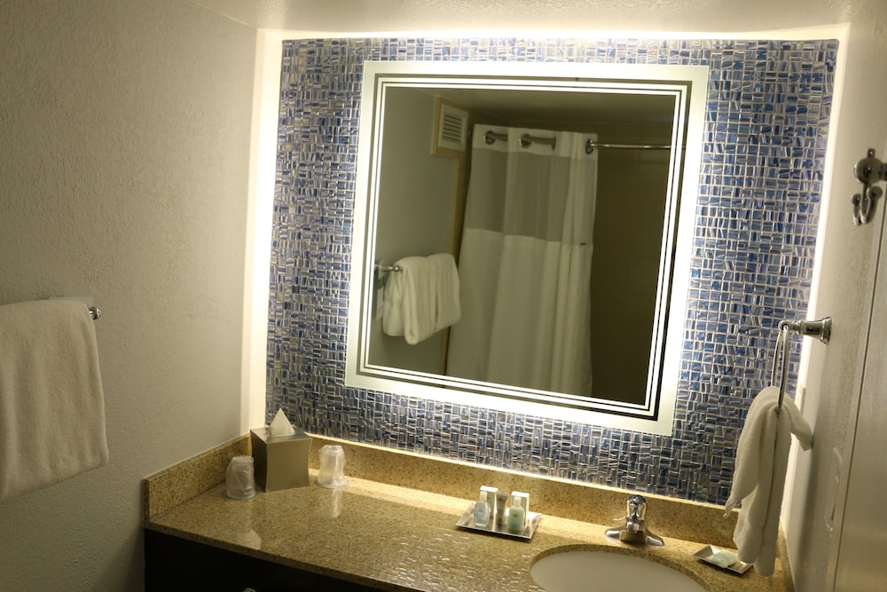 Imagen de la habitación del Hotel Wyndham Lake Buena Vista Resort Disney Springs® Resort Area. Foto 17