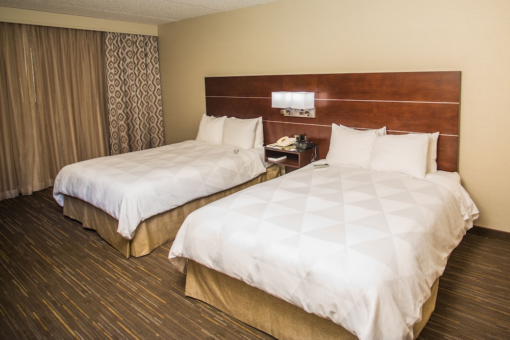 Imagen de la habitación del Hotel Wyndham Moline on John Deere Commons. Foto 7