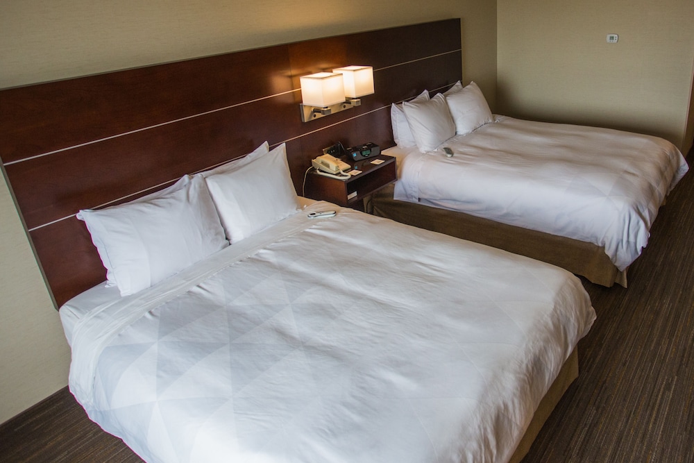 Imagen de la habitación del Hotel Wyndham Moline on John Deere Commons. Foto 14