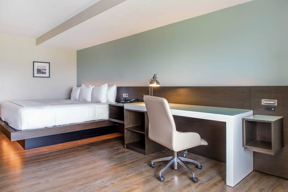 Imagen de la habitación del Hotel Wyndham Newport. Foto 7