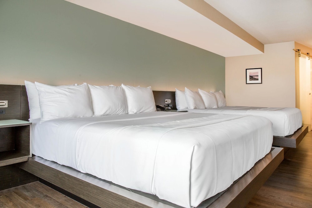 Imagen de la habitación del Hotel Wyndham Newport. Foto 8