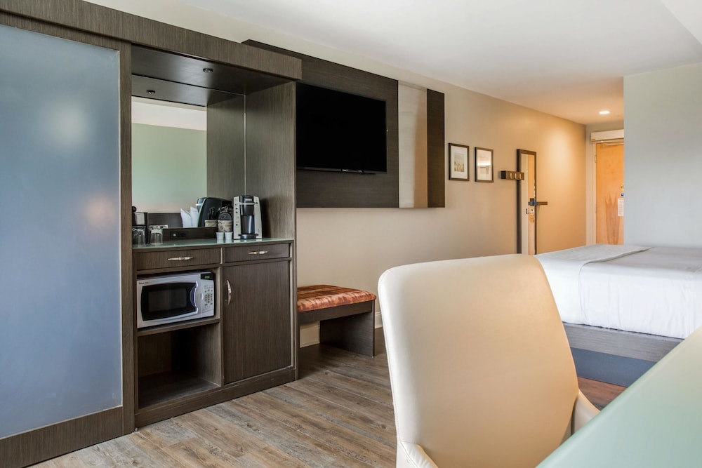 Imagen de la habitación del Hotel Wyndham Newport. Foto 12