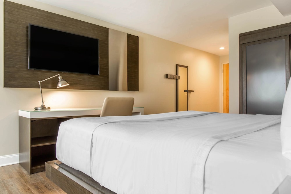Imagen de la habitación del Hotel Wyndham Newport. Foto 14