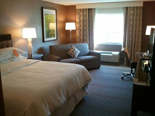 Imagen de la habitación del Hotel Wyndham Omaha / West Dodge. Foto 8