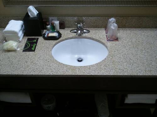 Imagen de la habitación del Hotel Wyndham Omaha / West Dodge. Foto 10
