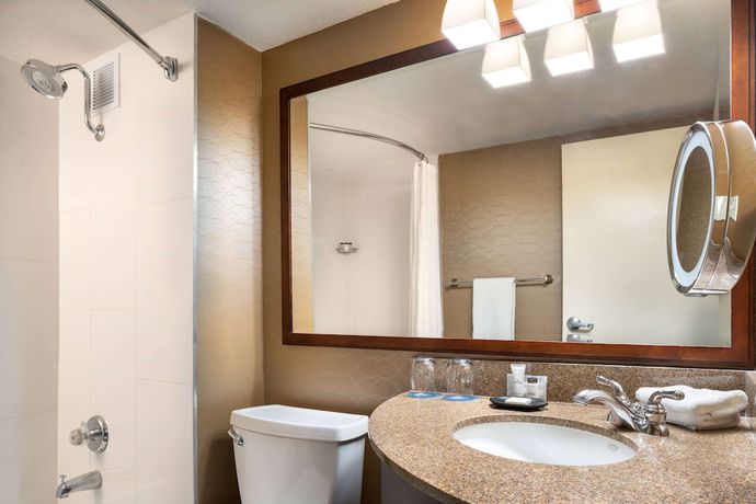 Imagen de la habitación del Hotel Wyndham Phoenix Airport/Tempe. Foto 7