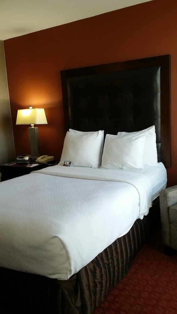 Imagen de la habitación del Hotel Wyndham Sacramento. Foto 4