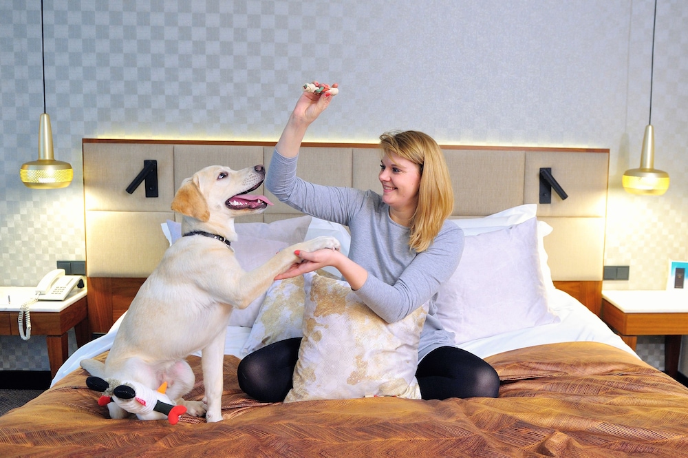 Imagen general del Hotel Wyndham Wroclaw Old Town. Foto 2