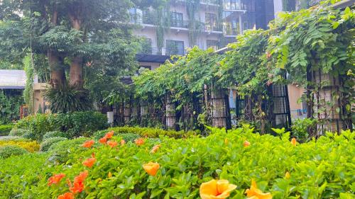 Imagen general del Hotel X Th&aacute;i Nguy&ecirc;n. Foto 5