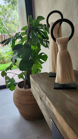 Imagen general del Hotel Xamb&eacute;, Tulum. Foto 7