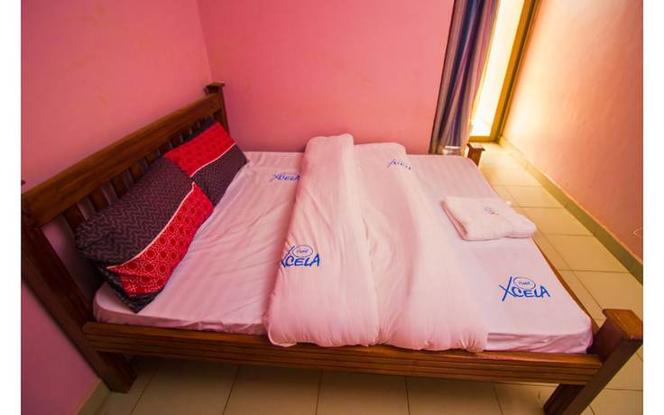 Imagen de la habitación del Hotel Xcela. Foto 15