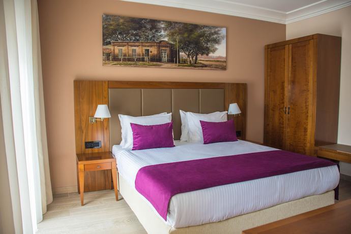 Imagen de la habitación del Hotel Xenon Hotel and SPA. Foto 15