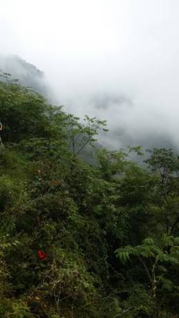 Imagen de la habitación del Hotel Xianshan Guest House. Foto 6