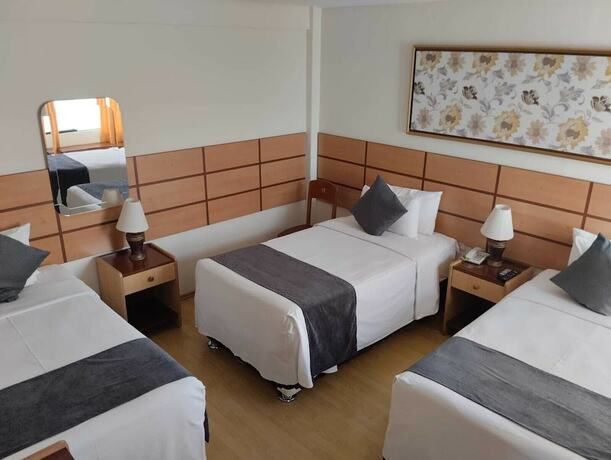 Imagen de la habitación del Hotel Xima Central Tacna. Foto 18