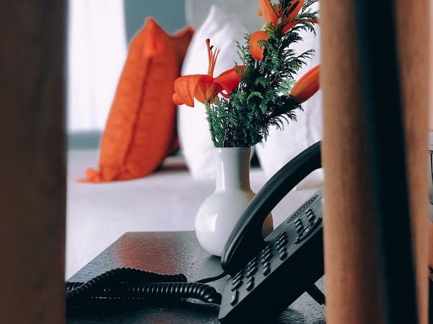 Imagen de la habitación del Hotel Ximena Boutique. Foto 8