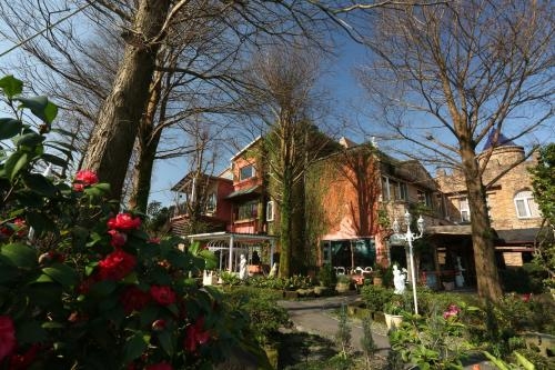 Imagen general del Hotel Xin Yuan My Dream Castle. Foto 2