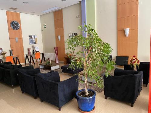 Imagen general del Hotel Xinzo. Foto 13