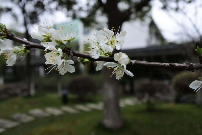 Imagen de los exteriores del Hotel Xitang Yanyu Jiangnan Jinglan. Foto 11