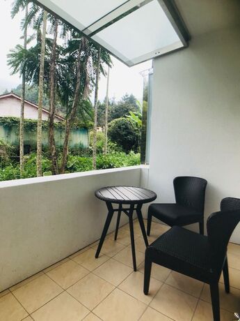 Imagen general del Hotel Xitou Bi Xue Shan Lin Homestay. Foto 3