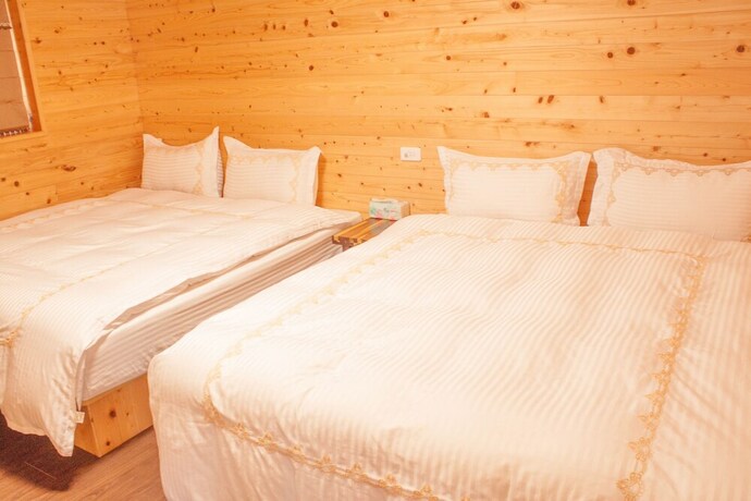 Imagen de la habitación del Hotel Xitou Star. Foto 16