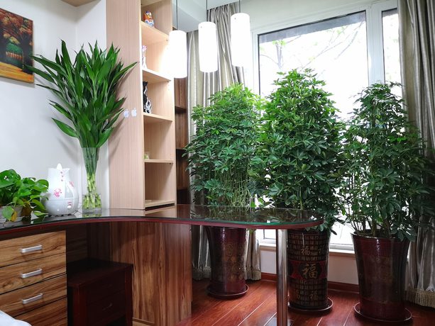 Imagen de la habitación del Hotel Xiwangju Apart-hotel. Foto 9