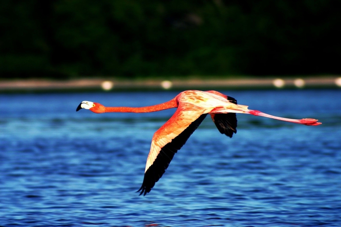 Imagen general del Hotel Xixim Mundo Imperial. Foto 3