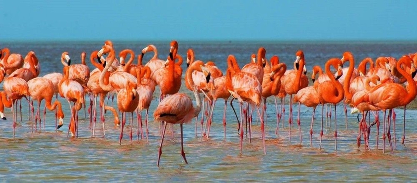 Imagen general del Hotel Xixim Mundo Imperial. Foto 5