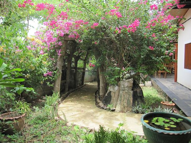 Imagen general del Hotel Xpai Guesthouse. Foto 14