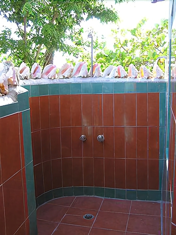 Imagen de la habitación del Hotel Xtabi Resort. Foto 14