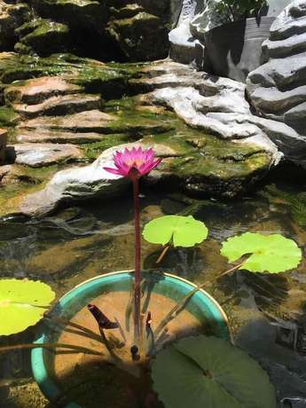 Imagen de los interiores del Hotel Xuan Mai Villa. Foto 12