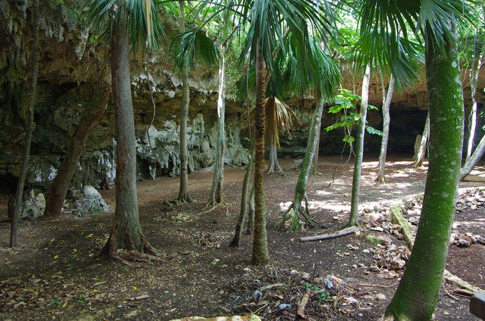 Imagen general del Hotel Xuux Peek Ecotur&iacute;stico. Foto 3