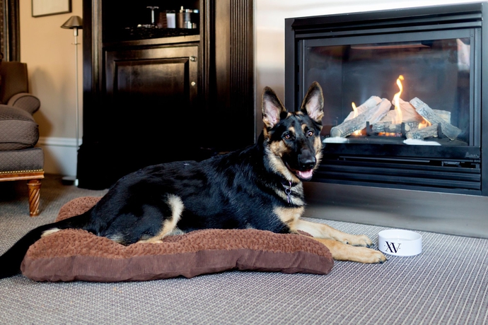 Imagen de la habitación del Hotel Xv Beacon. Foto 4