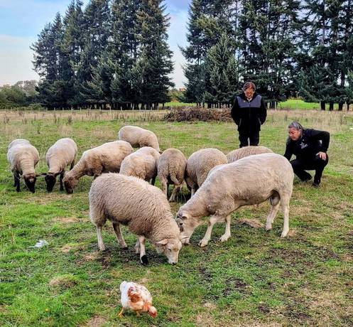 Imagen general del Hotel Y Caba&ntilde;as Molino Viejo. Foto 5