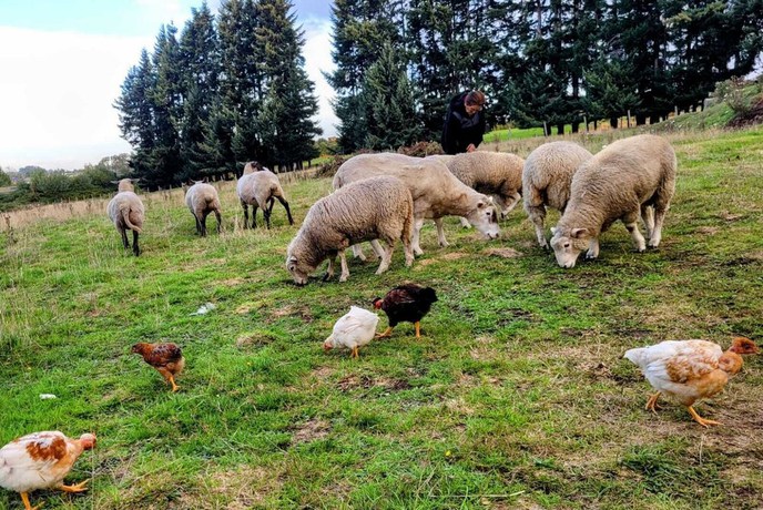 Imagen general del Hotel Y Caba&ntilde;as Molino Viejo. Foto 11