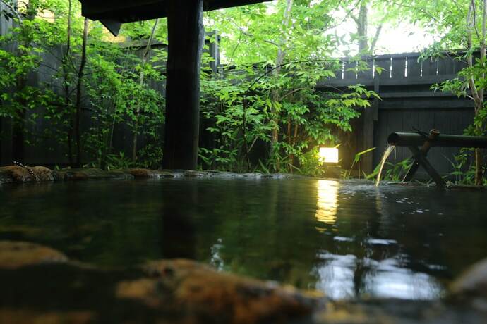 Imagen general del Hotel YAMAAINOYADO KIYASUYA. Foto 6