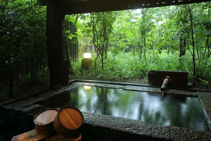 Imagen general del Hotel YAMAAINOYADO KIYASUYA. Foto 7