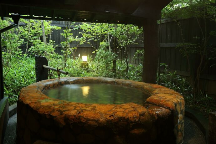 Imagen general del Hotel YAMAAINOYADO KIYASUYA. Foto 9