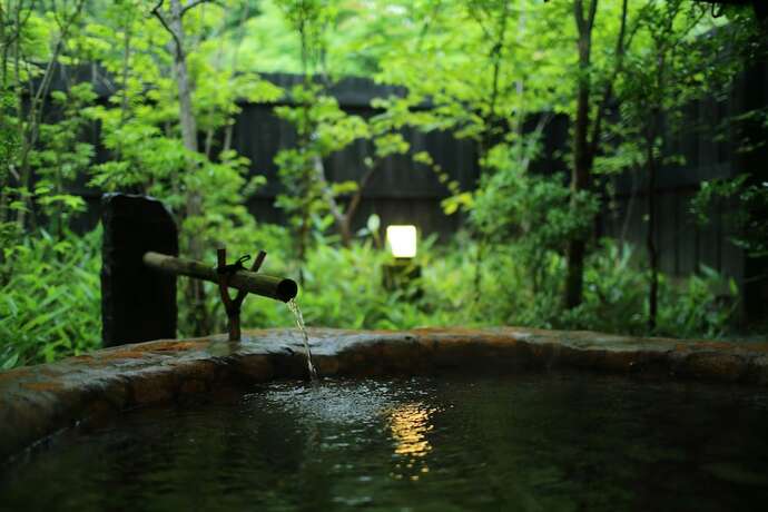 Imagen general del Hotel YAMAAINOYADO KIYASUYA. Foto 13