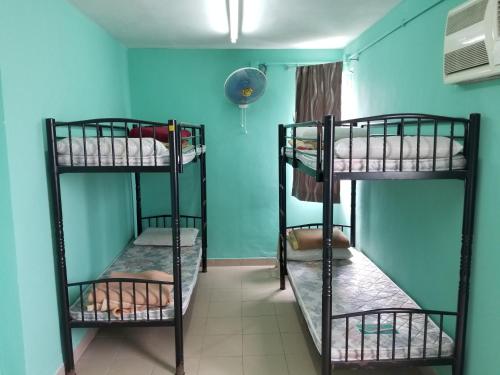 Imagen de la habitación del Hotel YHA Bradbury Hall. Foto 2