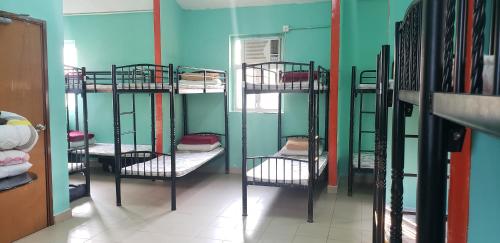 Imagen de la habitación del Hotel YHA Bradbury Hall. Foto 3