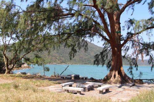 Imagen de los exteriores del Hotel YHA Bradbury Hall. Foto 5