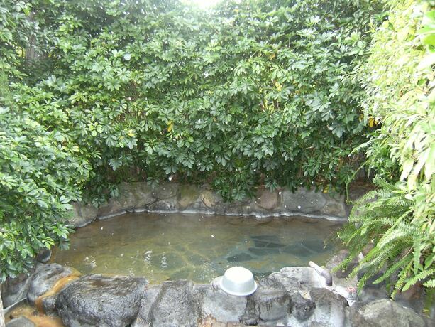 Imagen general del Hotel YOKOSO Ryokan. Foto 4