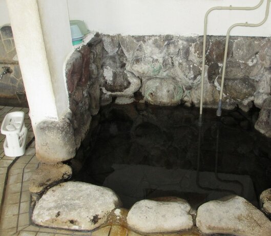 Imagen general del Hotel YOKOSO Ryokan. Foto 7