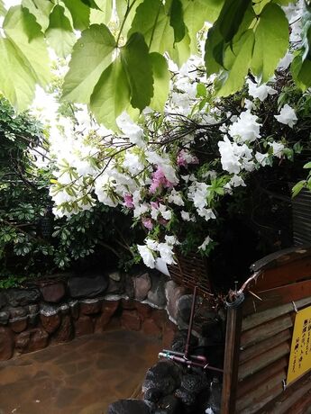 Imagen general del Hotel YOKOSO Ryokan. Foto 16