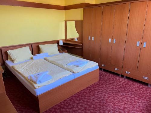 Imagen de la habitación del Hotel YURA hotel Čeladn&aacute; - WELLNESS ZDARMA. Foto 14