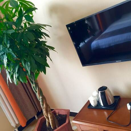 Imagen general del Hotel Yabuli Christmas Vacation Villa. Foto 14