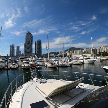 Imagen general del Hotel Yacht King. Foto 4