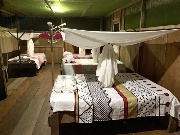 Imagen de la habitación del Hotel Yacumama Lodge and Excursions. Foto 16